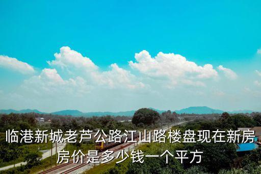 臨港新城老蘆公路江山路樓盤現(xiàn)在新房房價是多少錢一個平方