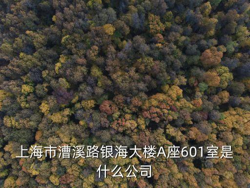 上海市長特鍛造有限公司，上海市淮海中路1010號嘉華中心43樓是什么公司啊
