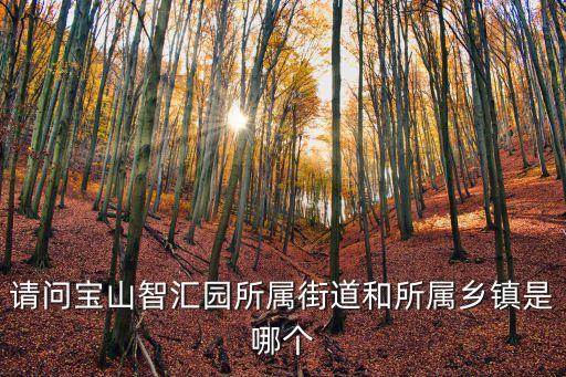 請問寶山智匯園所屬街道和所屬鄉鎮是哪個