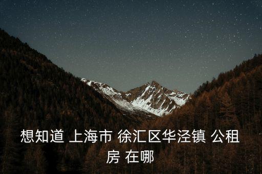 上海市徐匯區(qū)公租房小區(qū)名稱，上海徐匯區(qū)公租房有哪些