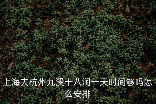 上海市西郊九溪，上海到九溪乘車路線