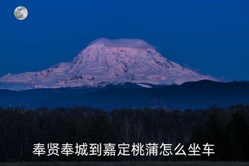上海市委巡視組組長朱莆娟，奉賢奉城到嘉定桃蒲怎么坐車