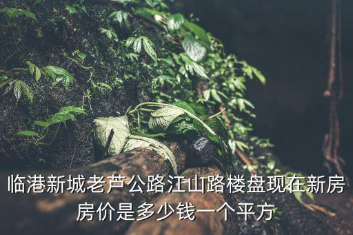 臨港新城老蘆公路江山路樓盤現在新房房價是多少錢一個平方