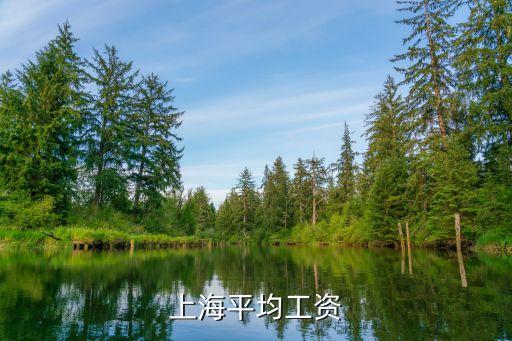 上海市218年平均工資，上海平均工資