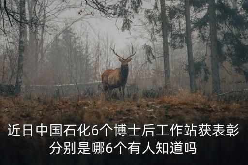 近日中國石化6個博士后工作站獲表彰分別是哪6個有人知道嗎