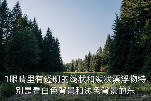 上海市中山醫(yī)院南院殷科珊，1眼睛里有透明的線狀和絮狀漂浮物特別是看白色背景和淺色背景的東