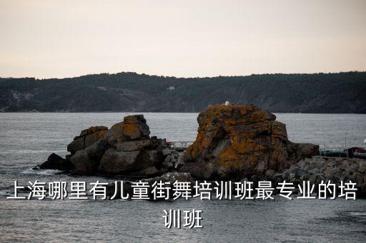 上海哪里有兒童街舞培訓(xùn)班最專業(yè)的培訓(xùn)班