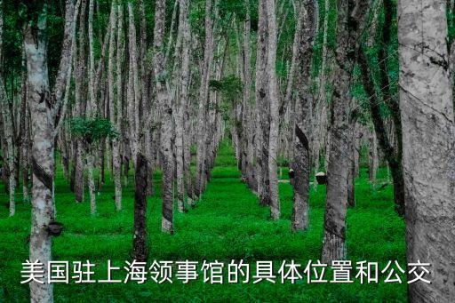 美國駐上海領事館的具體位置和公交