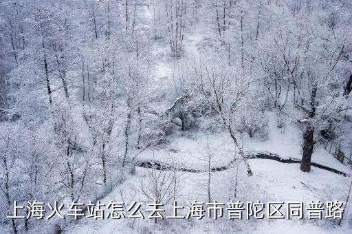 上海市普陀區(qū)同普路339弄3號，上海市普陀區(qū)同普路
