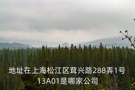 地址在上海松江區茸興路288弄1號13A01是哪家公司