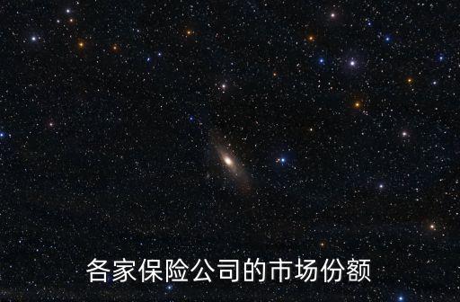 人保財險上海市場份額，各家保險公司的市場份額