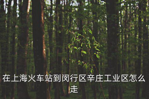 在上海火車站到閔行區(qū)辛莊工業(yè)區(qū)怎么走