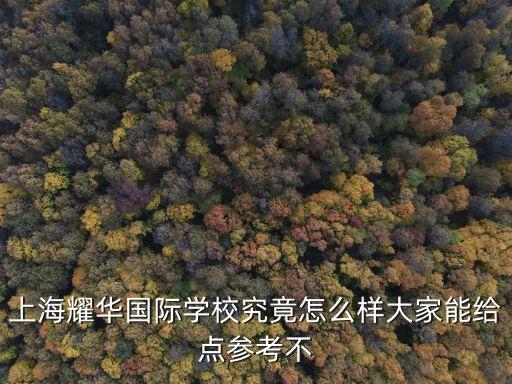 上海耀華國際學校究竟怎么樣大家能給點參考不