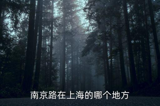 上海市的南京路位置，南京路在上海的哪個地方