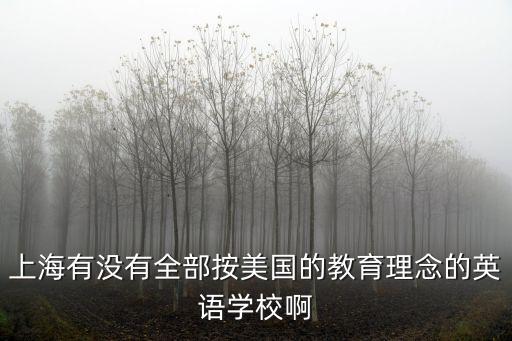 上海有沒有全部按美國的教育理念的英語學校啊