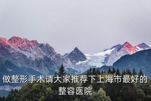 做整形手術(shù)請(qǐng)大家推薦下上海市最好的整容醫(yī)院