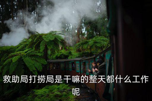 上海市救助打撈局項目，有誰了解 上海打撈局 或者 東海救助局