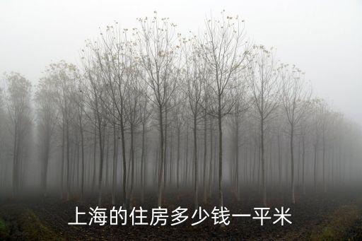 上海市區平方1多少錢，上海的住房多少錢一平米