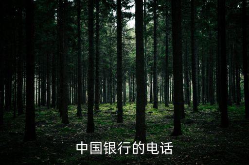 上海市中國銀行安亭支行電話，上海嘉定安亭是否有中國銀行