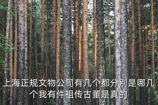 上海市正規(guī)的文物公司，上海擁有文物拍賣資格的老牌拍賣公司有哪幾家