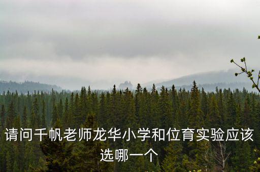 上海市位育實驗小學對口初中，請問千帆老師龍華小學和位育實驗應該選哪一個