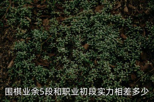 圍棋業余5段和職業初段實力相差多少