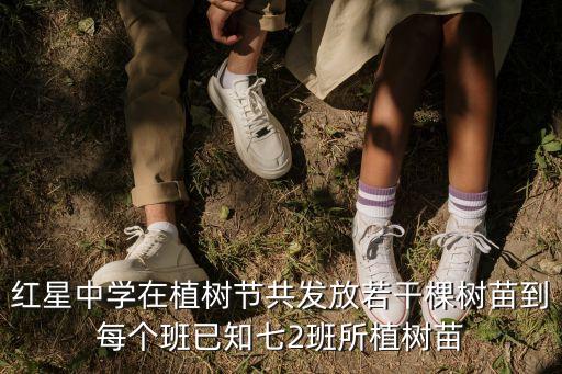 紅星中學在植樹節共發放若干棵樹苗到每個班已知七2班所植樹苗