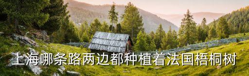 年上海市浦江馨都，住在浦江鎮浦江馨都想辦理暫住證到哪辦理啊
