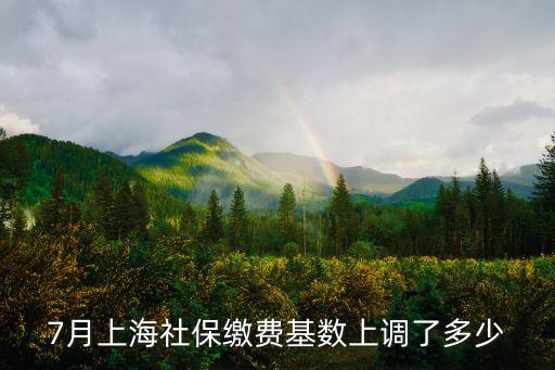 上海市養老保險調整基數，上海社保繳費基數