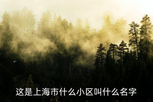 上海市新外灘花苑小區(qū)，這是上海市什么小區(qū)叫什么名字