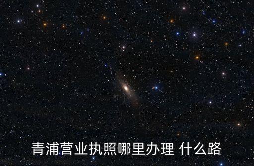 青浦營業執照哪里辦理 什么路