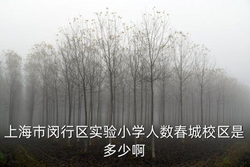 上海市閔行區(qū)實(shí)驗(yàn)小學(xué)人數(shù)春城校區(qū)是多少啊