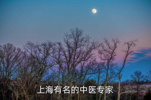 上海有名的中醫專家