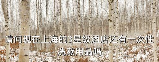 請問現在上海的3星級酒店還有一次性洗漱用品嗎