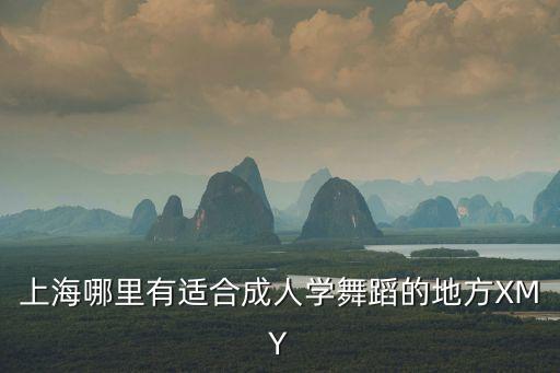上海市銀齡圓夢(mèng)藝術(shù)團(tuán)位置，上海浦東金楊路金橋路那里有一家學(xué)舞蹈的地方在一家商場(chǎng)里的三樓