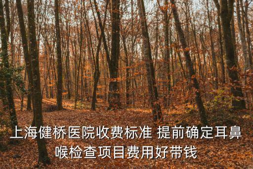上海健橋醫院收費標準 提前確定耳鼻喉檢查項目費用好帶錢
