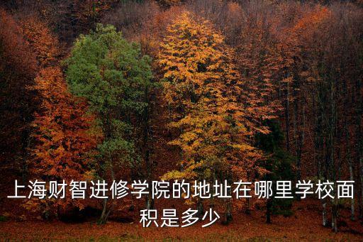 上海財智進修學院的地址在哪里學校面積是多少