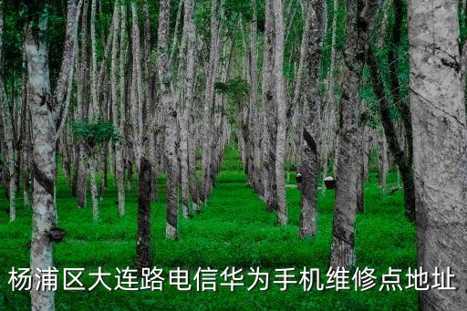 上海市華為維修點查詢，楊浦區(qū)大連路電信華為手機維修點地址
