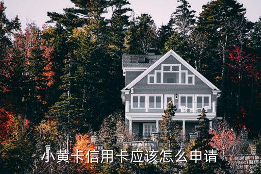上海市公會會員查詢，如何查詢曾經(jīng)是上海信鴿協(xié)會會員的情況