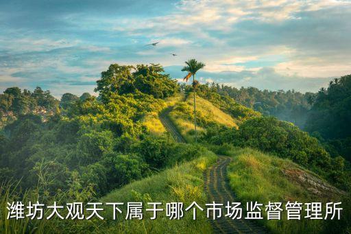 上海市濰坊市場(chǎng)監(jiān)督管理所，濰坊大觀天下屬于哪個(gè)市場(chǎng)監(jiān)督管理所