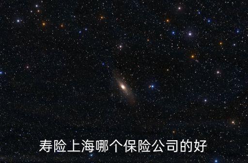 上海市壽險，求上海所有的保險公司我想買一份人壽保險