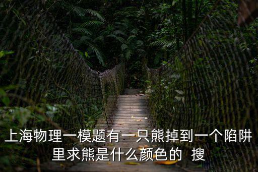 2020上海市虹口物理一模答案，一模考卷答案