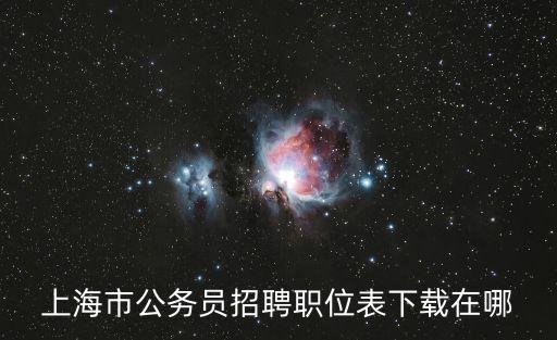 上海市公務員招聘職位表下載在哪