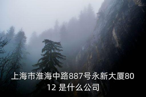 上海市淮海中路887號永新大廈8012 是什么公司