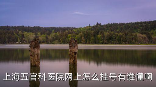上海五官科醫院網上怎么掛號有誰懂啊