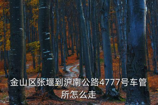 金山區張堰到滬南公路4777號車管所怎么走