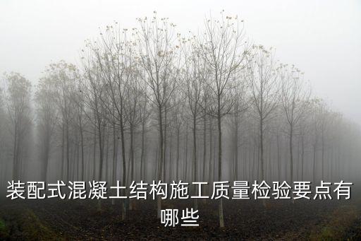 裝配式混凝土結構施工質量檢驗要點有哪些
