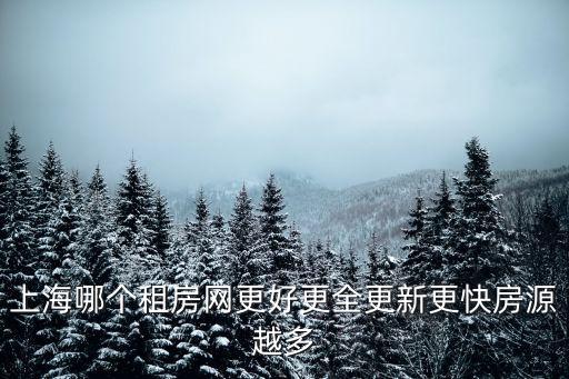 上海哪個租房網更好更全更新更快房源越多