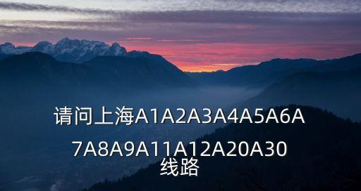 請問上海A1A2A3A4A5A6A7A8A9A11A12A20A30線路