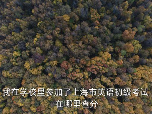 上海市初試成績，我在學校里參加了上海市英語初級考試 在哪里查分